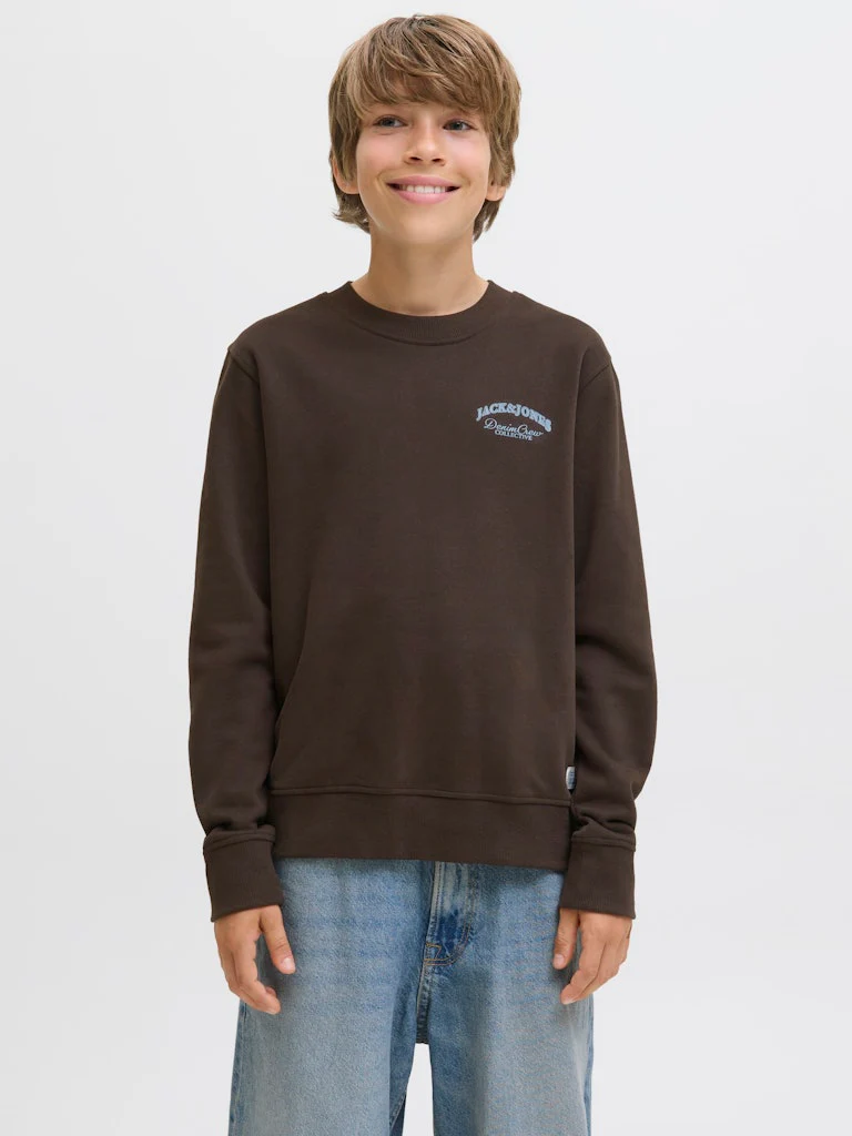 Jack and jones junior college, JJEBRANDES RELAXED SWEATSHIRT JNR Tummanruskea