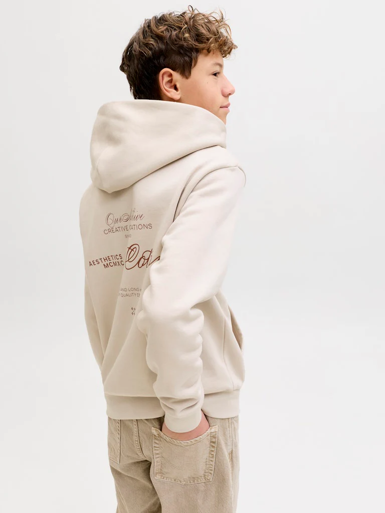Jack and Jones Junior lasten huppari JJROAR SWEAT HOOD JNR, beige - Image 7