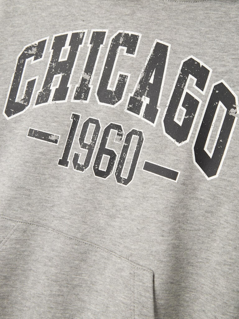 Name It lasten huppari, NKMTEEDDY LS SWEAT Vaaleanharmaa - Image 3