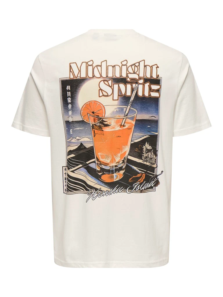 Only and Sons miesten t-paita, CHRIS LIFE REG SS TEE Cloud Dancer - Image 3
