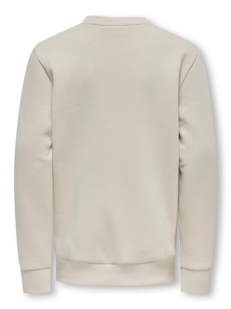 Only and Sons Junior lasten collegepaita OSJCERES CREW NECK SWEAT NOOS, beige - Image 5