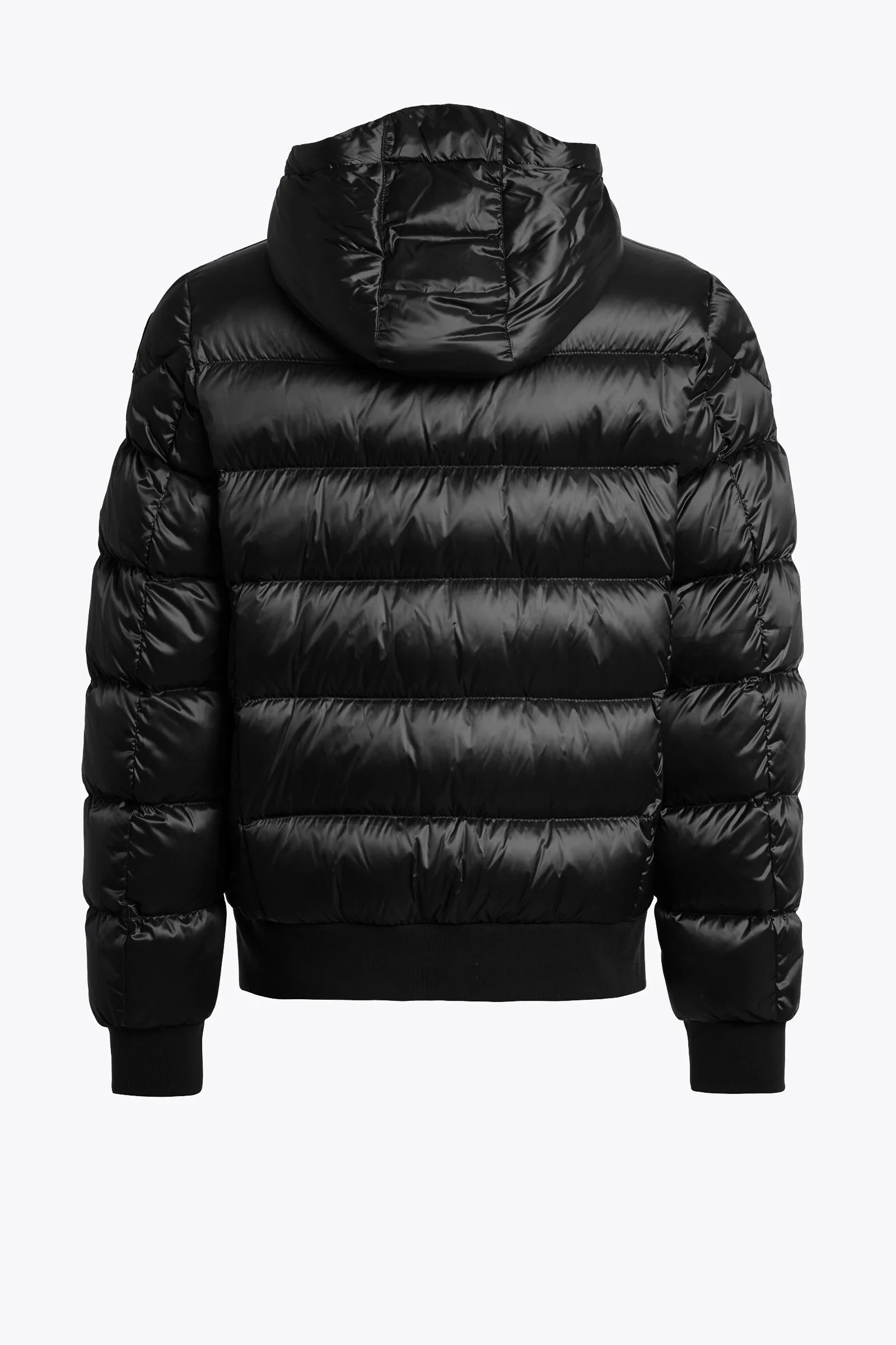 Parajumpers Miesten Untuvatakki, PHARREL Musta - Image 3