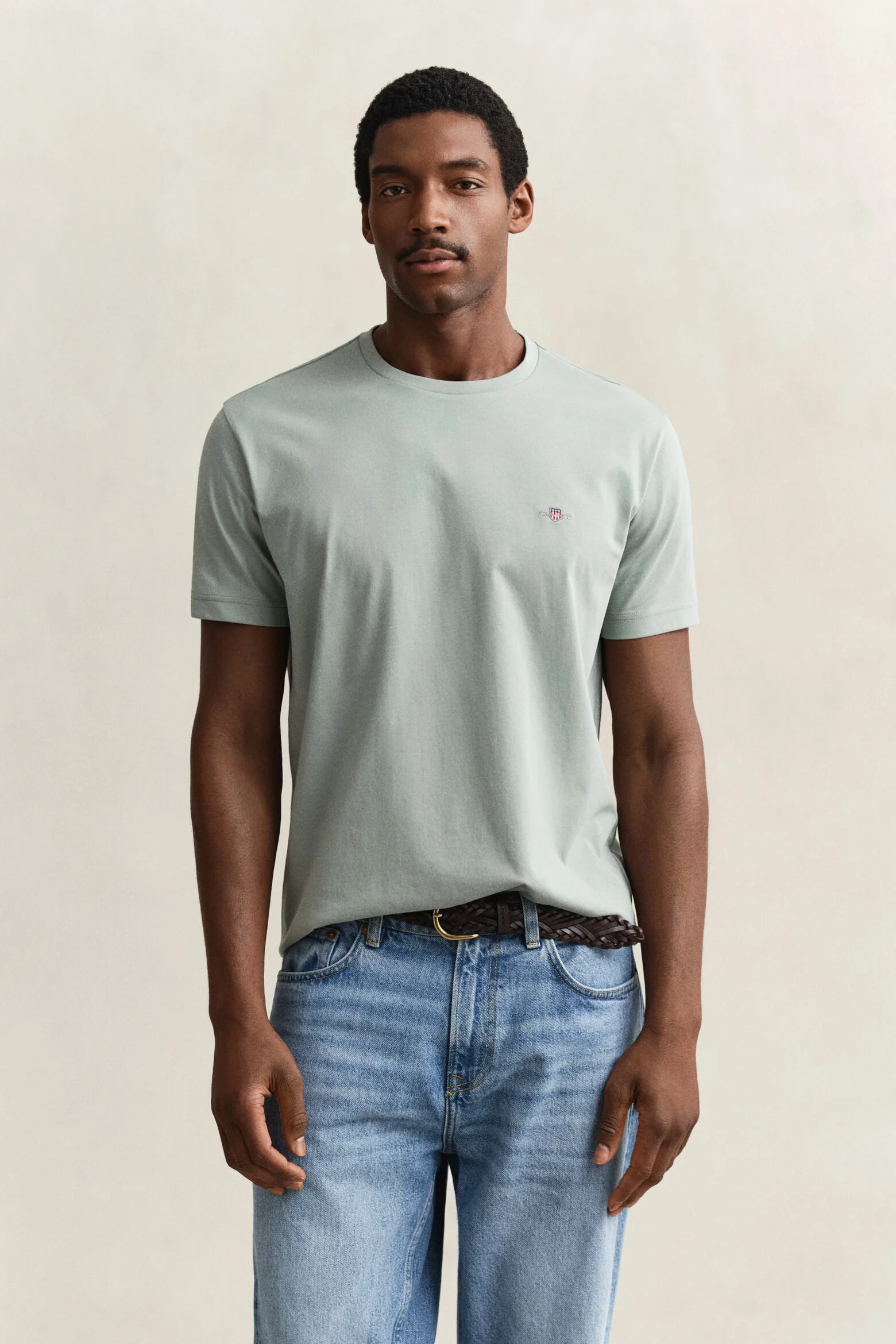 Gant miesten t-paita Reg Shield SS T-shirt, vaaleanvihreä